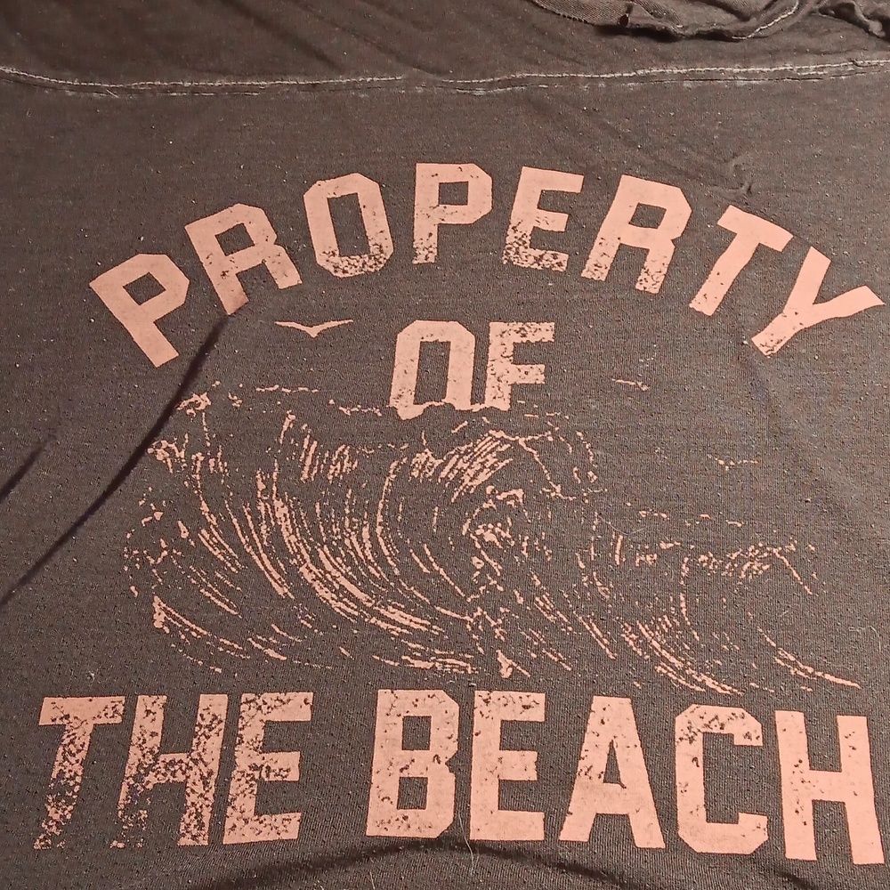 Torrid size 3 t shirt